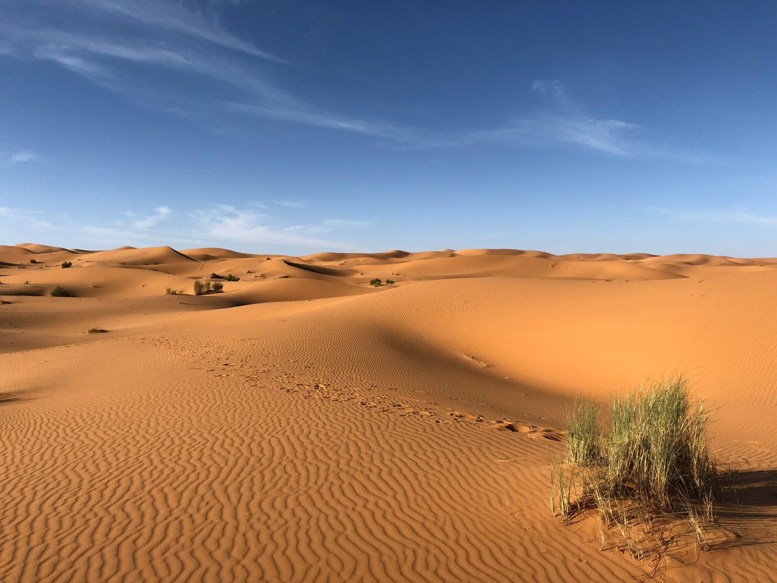 Explore the beautiful sand dunes under a clear blue sky in Egypt's striking desert landscape.